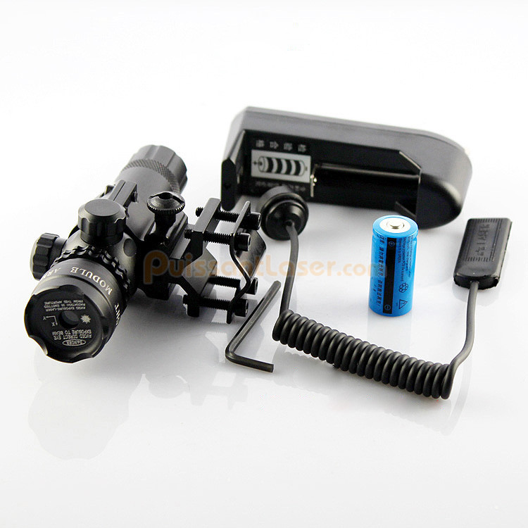 mire laser pour carabine