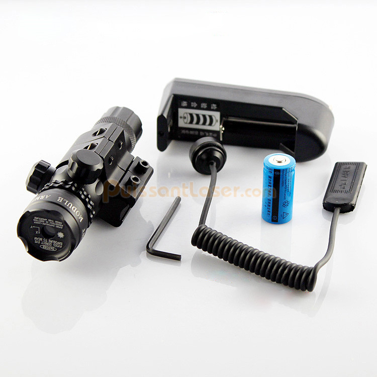 viseur laser pour carabine